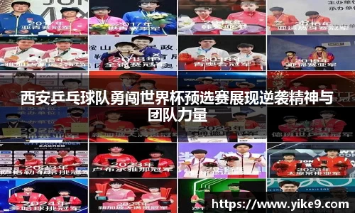庄闲官网