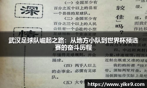 武汉足球队崛起之路：从地方小队到世界杯预选赛的奋斗历程