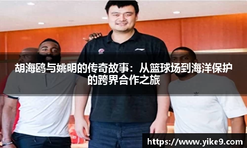 胡海鸥与姚明的传奇故事：从篮球场到海洋保护的跨界合作之旅