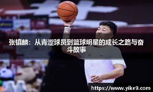 庄闲官网